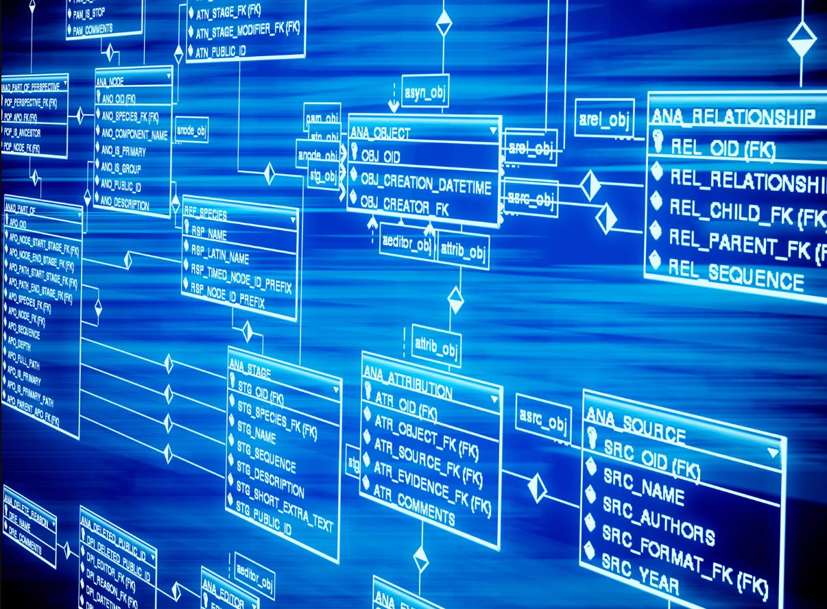 GESTIÓN DE BASE DE DATOS - 1RA - ART